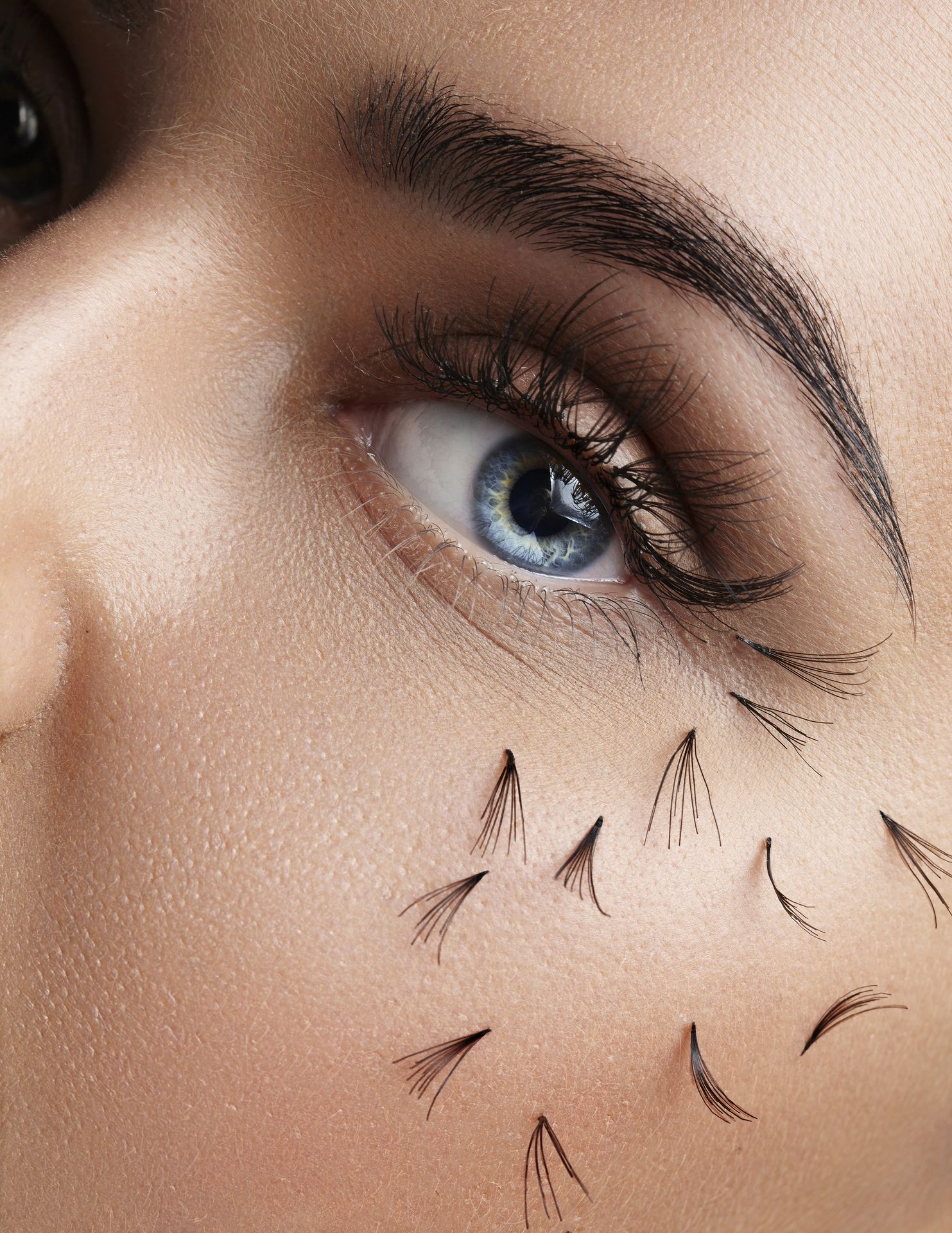 Cejas